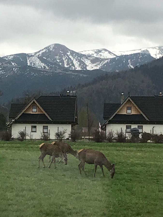 Villa Jumper Widok Na Cale Tatry Lazienka Nie Jest W Pokoju Zakopane Exterior photo