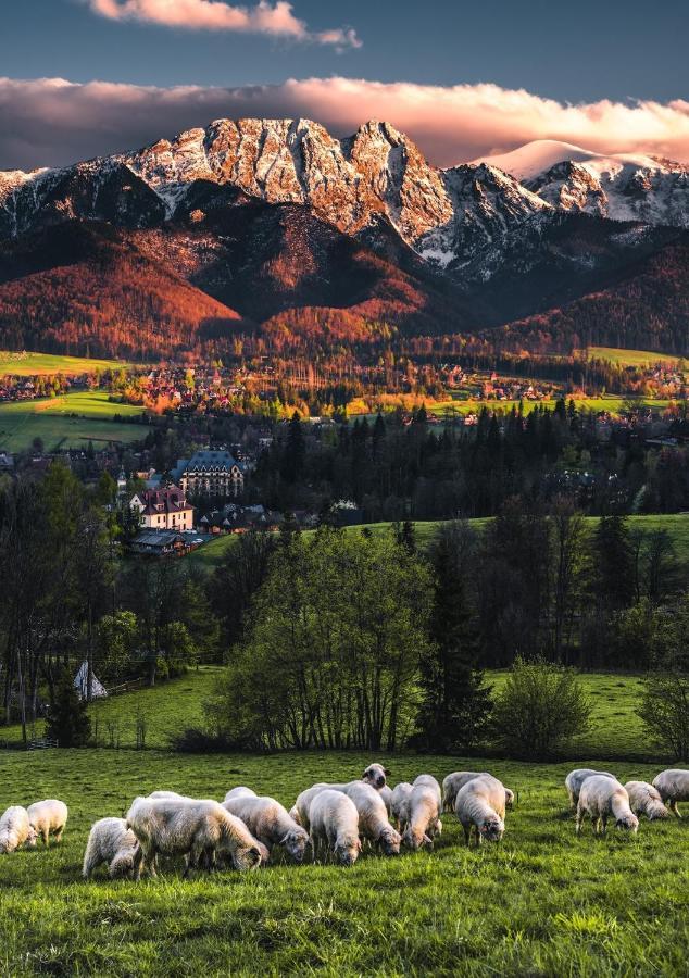Villa Jumper Widok Na Cale Tatry Lazienka Nie Jest W Pokoju Zakopane Exterior photo
